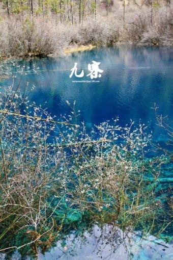 公司因疫情让员工选择在家办公,但是拖欠工资已经两月了该怎么办,请问万典律师可以打诉讼吗?-机智问答网页,智能解答疑惑问题